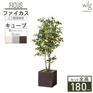 yGg[Ń|Cg5{zCeAO[×v^[Zbg ^ut@CJX×Cube w/gv180cm tBJX xW~ S̖ lHϗtA tFCNO[  A 