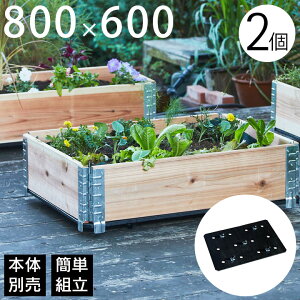 K[fjO LX^[ ړua+ design K[f{bNX800×600p LX^[tx[X 2Zbgv