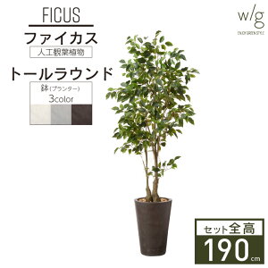 yGg[Ń|Cg5{zCeAO[×v^[Zbg ^ut@CJX×Tall Round w/gv190cm tBJX xW~ S̖ lHϗtA tFCNO[  