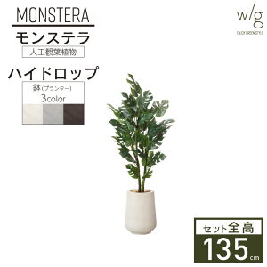 モンステラ 室内 観葉植物の人気商品 通販 価格比較 価格 Com モンステラ 室内 観葉植物の人気商品 通販 価格比較 価格 Com