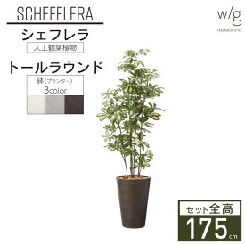 フェイクグリーン鉢セット 大型 「シェフレラ×Tall Round w/g」 高さ175cm 人工観葉植物 インテリアグリーン プランター 簡単組立 おしゃれ リアル 室内 オフィス