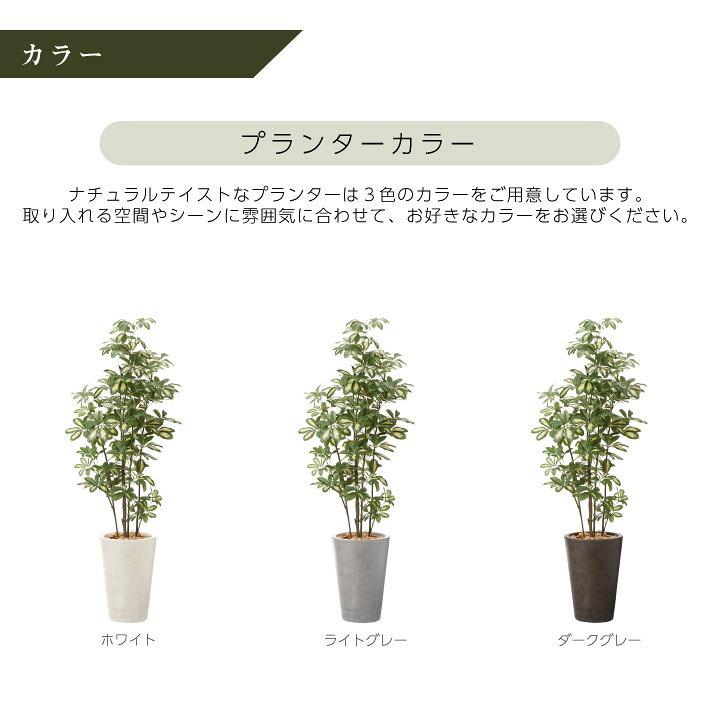 28600円 今季一番 インテリアグリーン×プランターセット 大型 ファイカス×Cube w g 高さ180cm 人工観葉植物 フェイクグリーン おしゃれ リアル 室内 オフィス 28600円 今季一番 インテリアグリーン×プランターセット 大型 ファイカス×Cube w g 高さ180cm 人工観葉植物 フェイクグリーン おしゃれ リアル 室内 オフィス