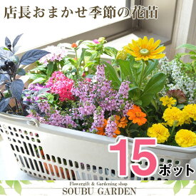 楽天市場 花苗 セット 送料無料の通販