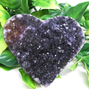 yVR΁zp[vbhAWXgn[gEOACYʂ̏Ȃp[vbh󏭁RN^[bhAVXg΁i悠j