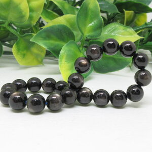 yVR΁zS[hV[Tt@CA8.5~PjAYV[Pa΁