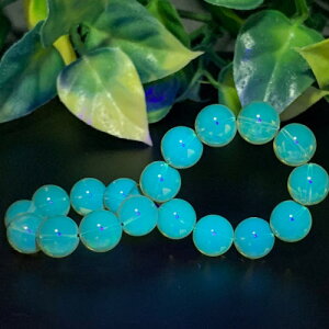 y߁zӕʏtu[Ao[10~LVRYVR͂߁u