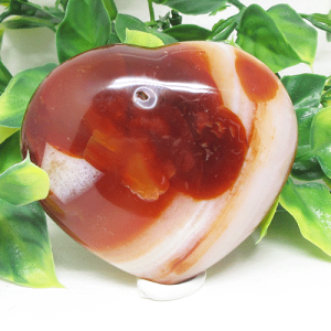 yVR΁z큙n[gbhAQ[gJ聙