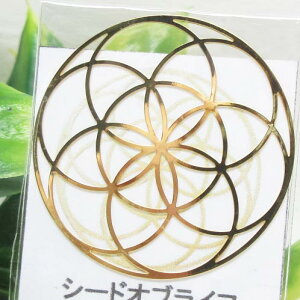 yGiW[v[gzV[hIuCt]̌14GFzɓ傫͂̌聙|Xg