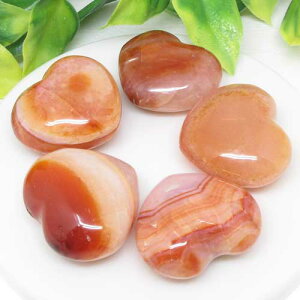 yVR΁z큙n[gbhAQ[g5J聙|Xg