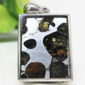 yVR΁zpTCgEZR覐΁17.5~N^Oy_ggbvPjA󏭂ȃpTCgnCp[iΓS覐΁悠聙