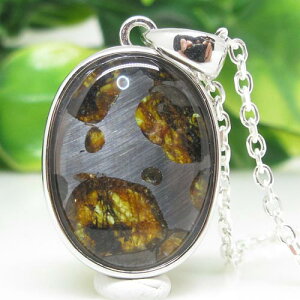 yVR΁zpTCgEZR覐΁y_ggbvЖʂӂdグPjA󏭂ȃpTCgnCp[iΓS覐΁悠聙