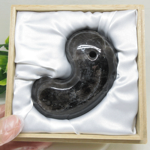 yVR΁zBIGʁ101~VR󏭁荢R悠聙