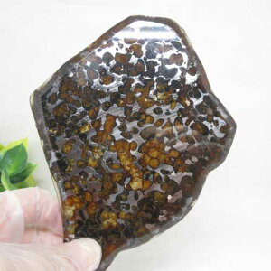 yVR΁zpTCgZRG|LV覐΁XCXӕʏ悠