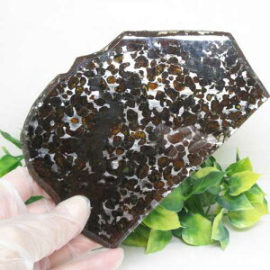 yVR΁zpTCgZRG|LVH覐΁XCXӕʏ悠