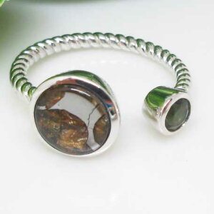 yVR΁z14Oすt[_oCgpTCgZC`覐΁OwցVo[925