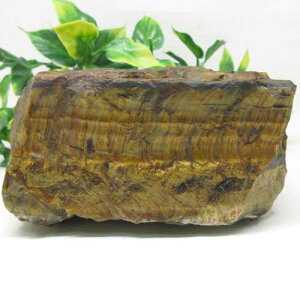 �y�V�R�΁z�^�C�K�[�A�C�����΁��Ֆڐ΁��򁙋��^���d���^�����^�����悠�聙