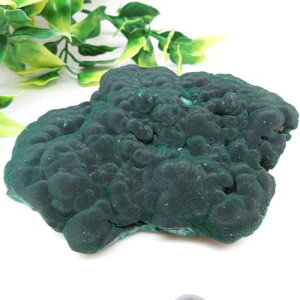 yVR΁z}JCg΁397gE΁q[O׋CNX^[W{悠聙