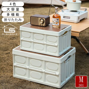 uyvRei{bNX O Wt ω׏d30kg  ܂肽 Rei [ P[X {bNX e 30l 55l vX`bN ^ ؊W t AEghA ςݏd gȒP v