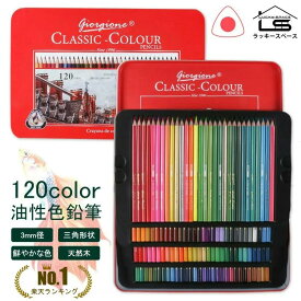 楽天1位!!【giorgione/120色セット/人間工学/天然木採用】 高級 油性 色鉛筆 120色 セット 缶入色鉛筆 スケッチ 画材 プレゼント 子供 こども 夏休み 鉛筆 筆記具 入学 卒業 誕生日祝い 記念日祝い 文房具