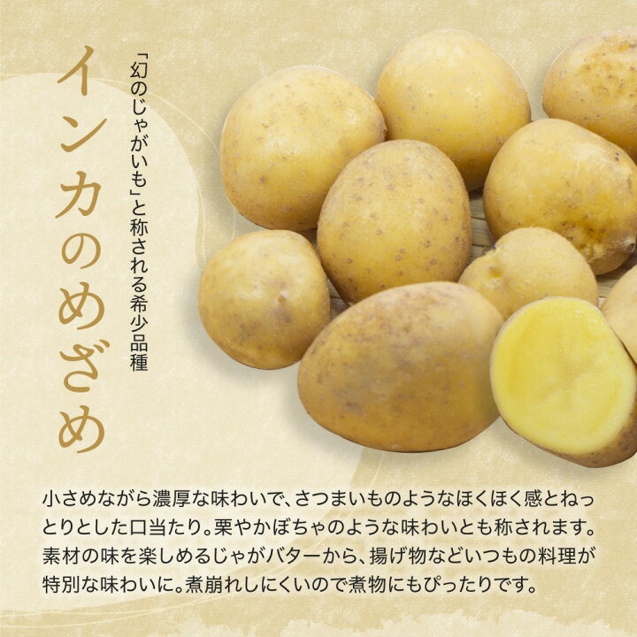 楽天市場 好評につき完売 2kg 5kg 送料無料 熊本県産 じゃがいも インカのめざめ 2kg 新じゃが 無農薬 採れたて 産地直送 自社の畑で栽培 ジャガイモ じゃが芋 野菜 取り寄せ グルメ 食品 期間限定 ぶんぶんフード