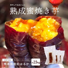 紅はるか 熟成蜜焼き芋 2.5kg(1パック×約10~15本) 冷凍焼き芋 蜜焼き芋 蜜焼き芋アイス 無添加 砂糖不使用 熊本県産 お取り寄せ グルメ スイーツ ギフト