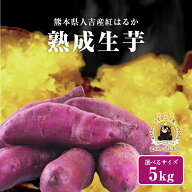熊本県産 さつまいも 紅はるか 熟成生芋5kg 選べるサイズ(2S,S,M,L,2L,3L,4L) 土付き