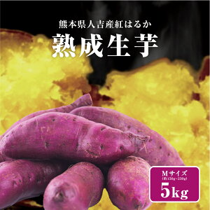 y|Cg5{Iő1000~OFFIzF{Y ܂ g͂邩 n5kg IׂTCY(2S,S,M,L,2L,3L,4L) yt