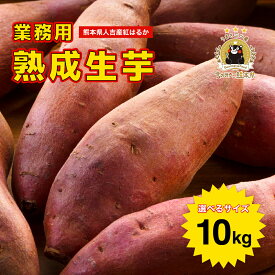 熊本県産 さつまいも 紅はるか 熟成生芋10kg 選べるサイズ(2S,S,M,L,2L,3L,4L) 業務用 土付き