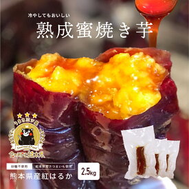 熟成蜜焼き芋 2.5kg(約200g×10~13本) 紅はるか 冷凍焼き芋 蜜焼き芋 蜜焼き芋アイス 無添加 砂糖不使用 熊本県産 お取り寄せ グルメ スイーツ ギフト