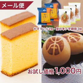 和菓子 プチギフト お菓子 1000円ポッキリ 送料無料 スイーツ ギフト かすていら（プレーン)×2個・金の本ノ字饅頭×3個