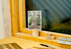 Pictuary cylinder (sN`A V_) eF