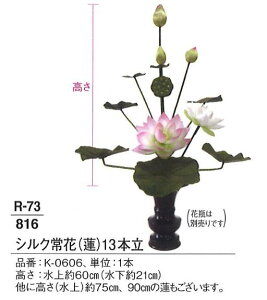 y@pizyԁz VN(@) 13{  60cm  21cm 1{