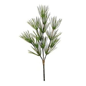 R[}L@1{@ԁ@R[}Lł͂܂