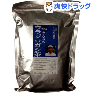 香川産 みんなのウラジロガシ茶(5g*40包)