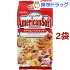ミスターイトウ アメリカンソフトクッキー フルーツ＆ナッツ(6枚入*2袋セット)【ミスターイトウ】