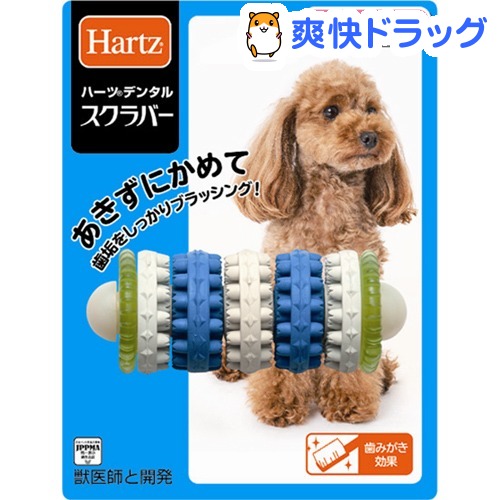 Hartz ハーツ ハーツデンタル 超小型～小型犬用 最大79％オフ 1コ入 超可爱 スクラバー