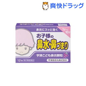 楽天市場 子供 鼻炎薬の通販