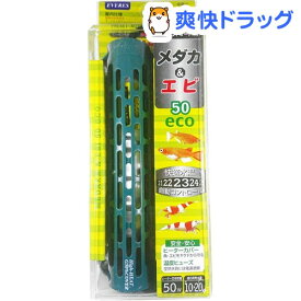 楽天市場 エヴァリスar50の通販