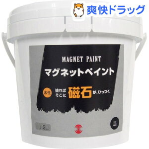 ペンキ ラッカー マグネットペイントの人気商品 通販 価格比較 価格 Com