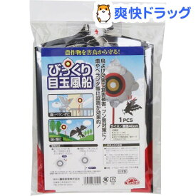 楽天市場 びっくり目玉の通販 楽天市場 びっくり目玉の通販