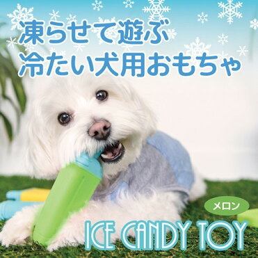 夏用犬のおもちゃ アイスキャンディー メロン 1コ入 Room 欲しい に出会える