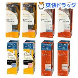 楽天市場 花王 白髪染め 男性の通販