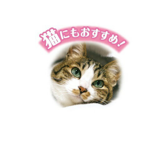 楽天市場 遠赤外線炭パワー 超暖もこほわマットss 1枚入 爽快ドラッグ