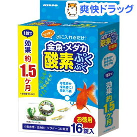 楽天市場 酸素 熱帯魚 アクアリウム ペット ペットグッズ の通販