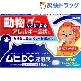 楽天市場 犬 鼻水 薬の通販