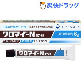 楽天市場 クロマイn軟膏の通販