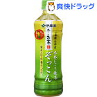 伊藤園 おーいお茶 ぞっこん(500ml*24本入)【お〜いお茶】