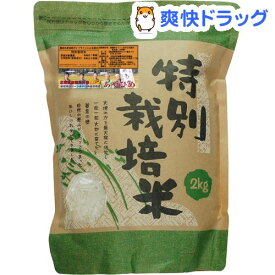 すべてのカタログ ここへ到着する 古い 米 処分