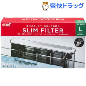 楽天市場 Gex ろ過器の通販 楽天市場 Gex ろ過器の通販