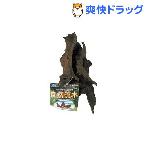 楽天市場 自然流木 中 1コ入 爽快ドラッグ
